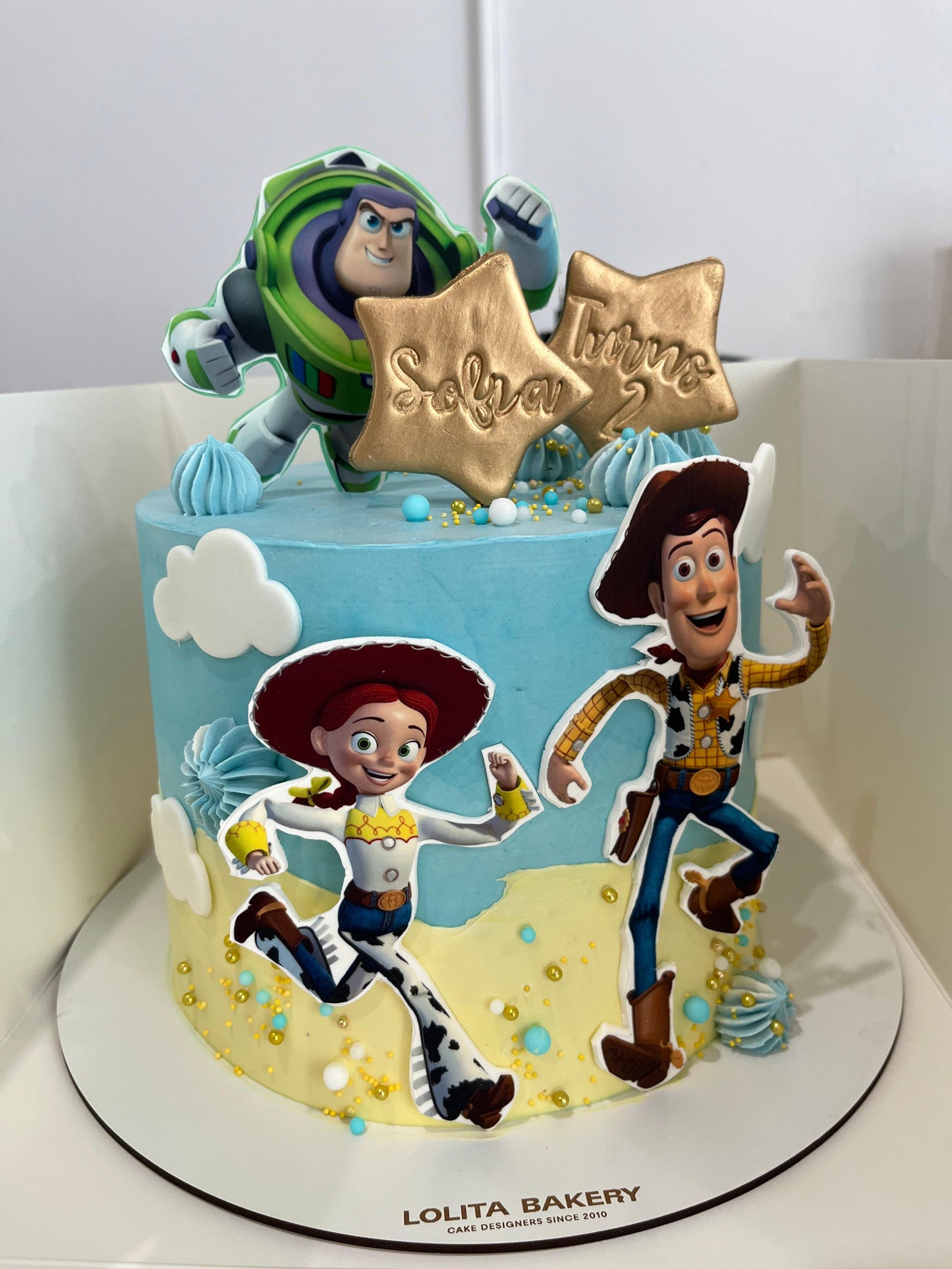 PASTEL VEGANO PERSONALIZABLE ¡ELIGE LA TEMÁTICA!