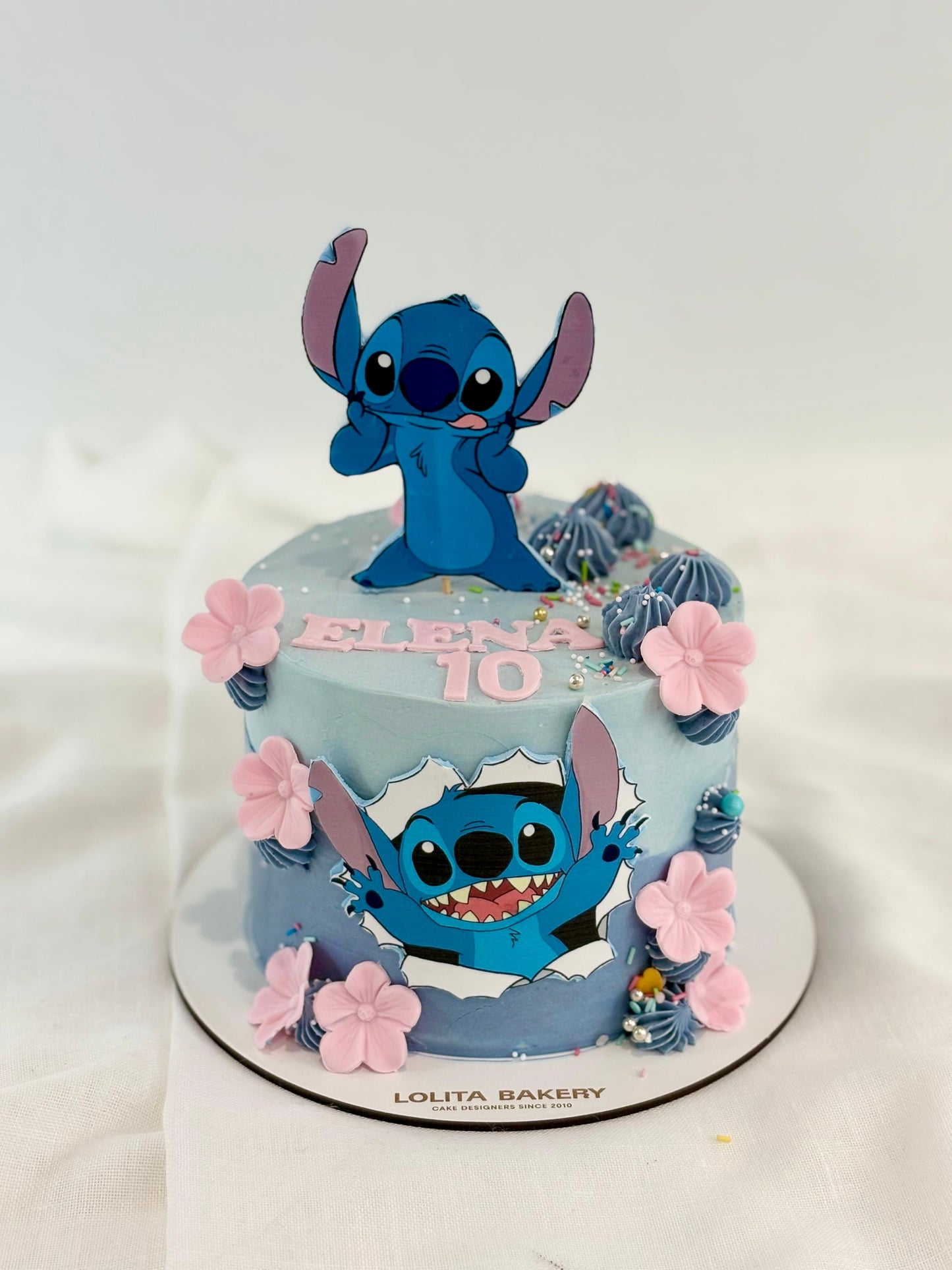 CUSTOMIZABLE VEGAN CAKE — CHOOSE YOUR THEME!
